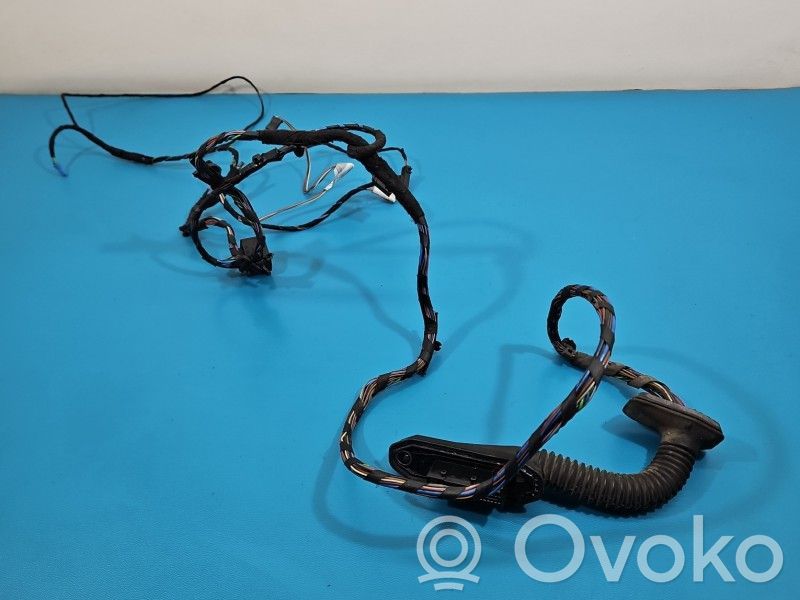 BMW X6 E71 Cableado de puerta trasera 