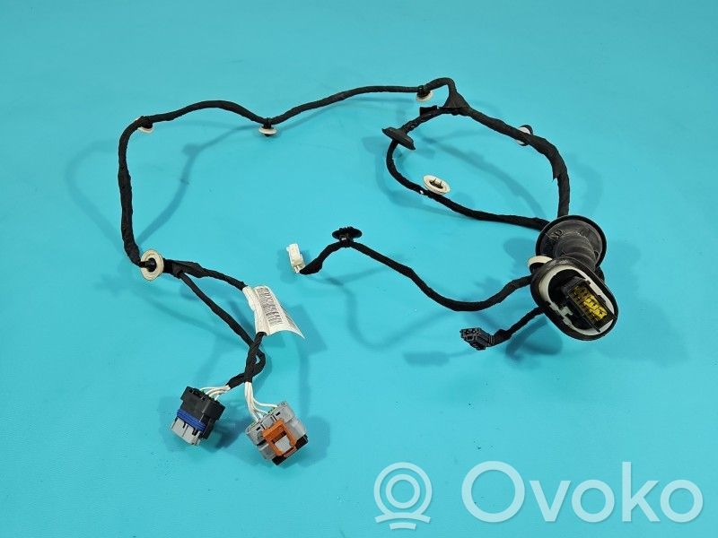 Citroen C3 Cableado de puerta trasera 