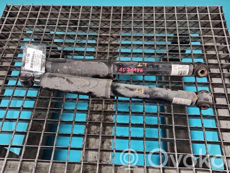 Stoßdämpfer hinten   9824997280,IMPRK1571156