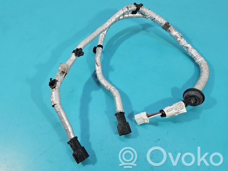 Renault Kadjar Otros cableados 