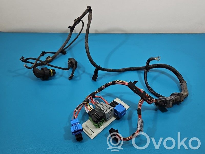 BMW X6 E71 Other wiring loom 