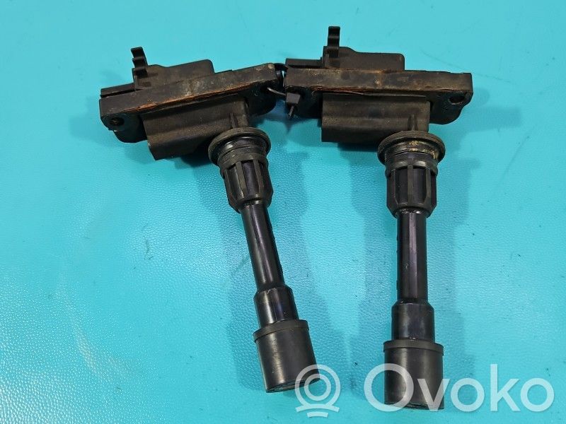 Aukštos įtampos ritė "babyna"   DSC1500,IMPRK1592216