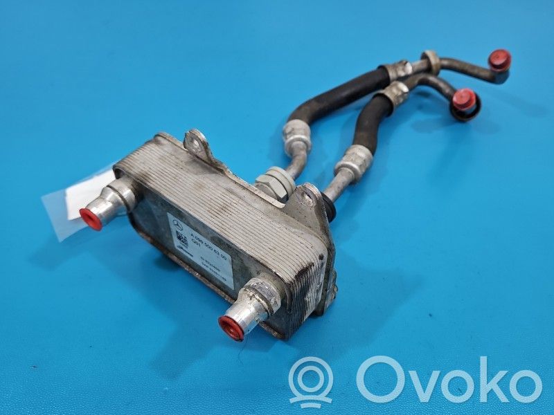 Mercedes-Benz E W213 Radiatore dell’olio del motore