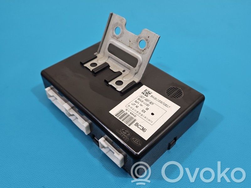 Hyundai i20 (PB PBT) Central body control module