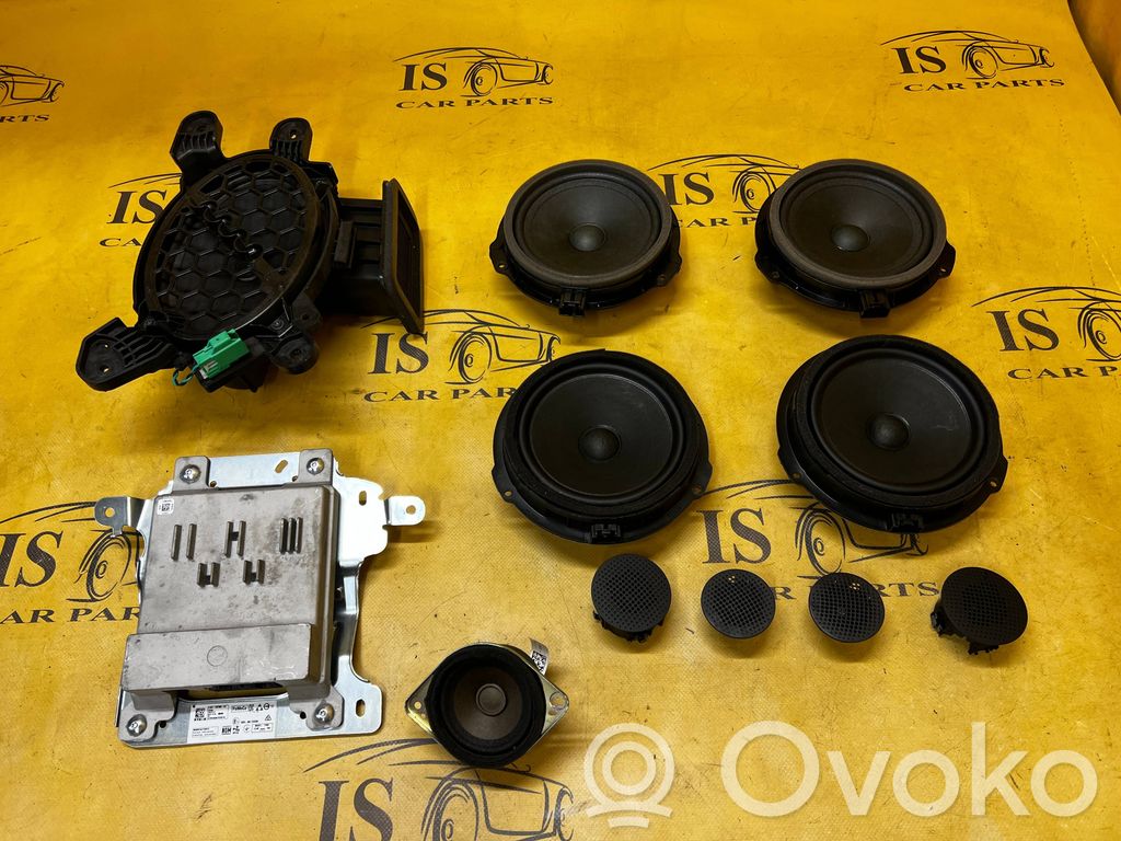 Ford Kuga III Kit sistem audio 
