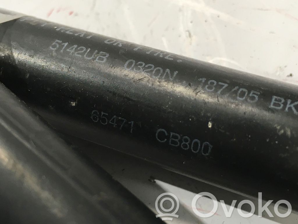 Nissan Murano Z50 Ammortizzatore portellone anteriore/cofano 