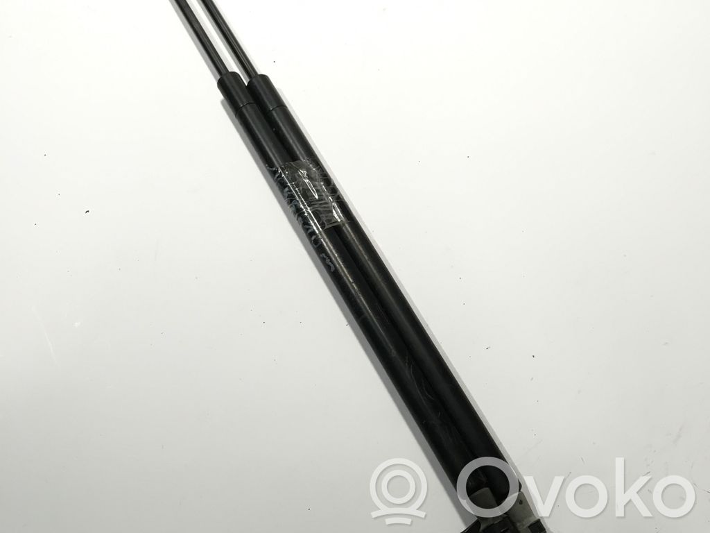 Nissan Juke I F15 Tailgate/trunk strut/damper 