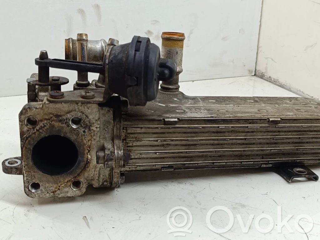 Volkswagen PASSAT B6 Chłodnica spalin EGR 