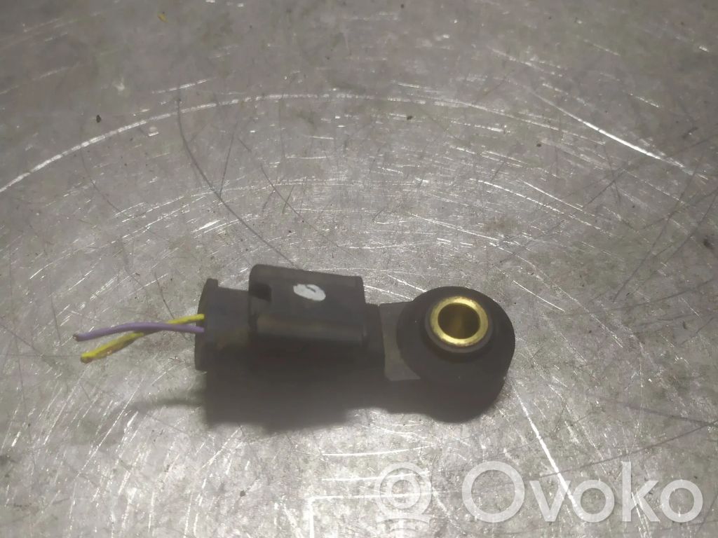 Peugeot 206+ Klopfsensor 