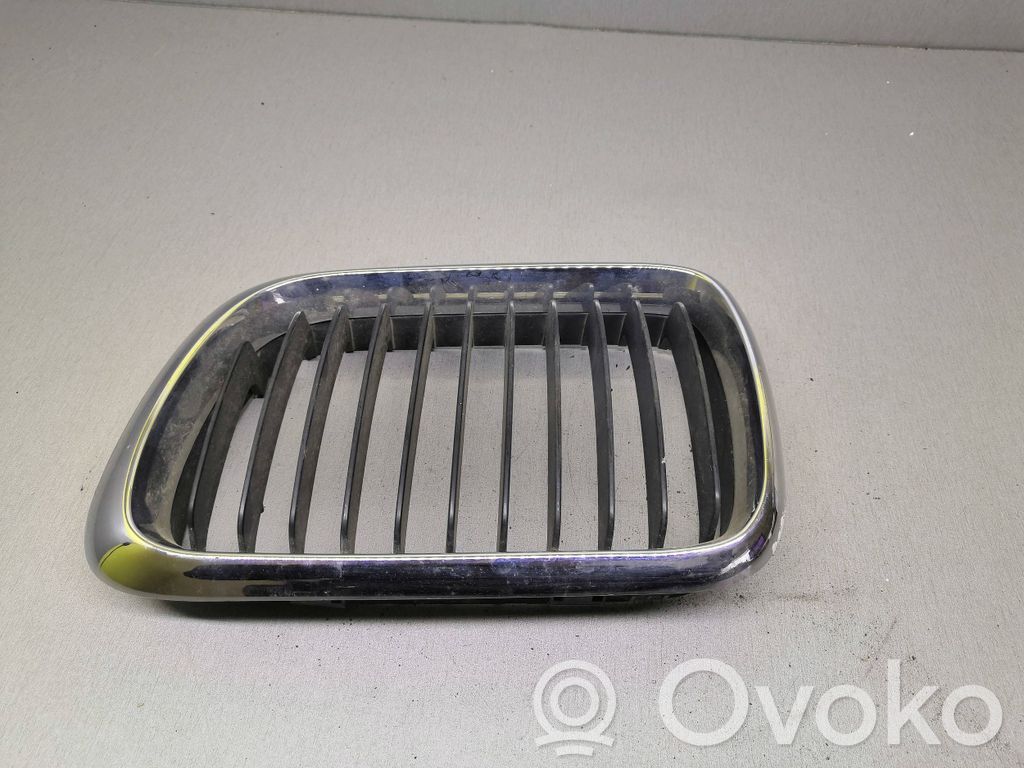Front grill   51138185801