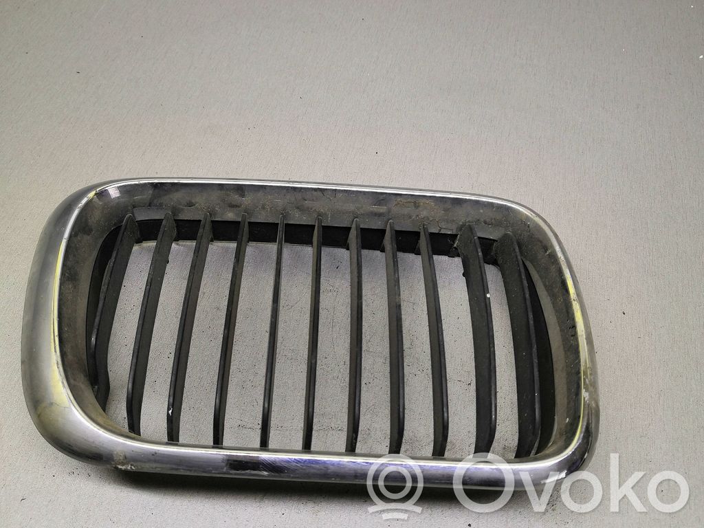 Front grill   51138185802