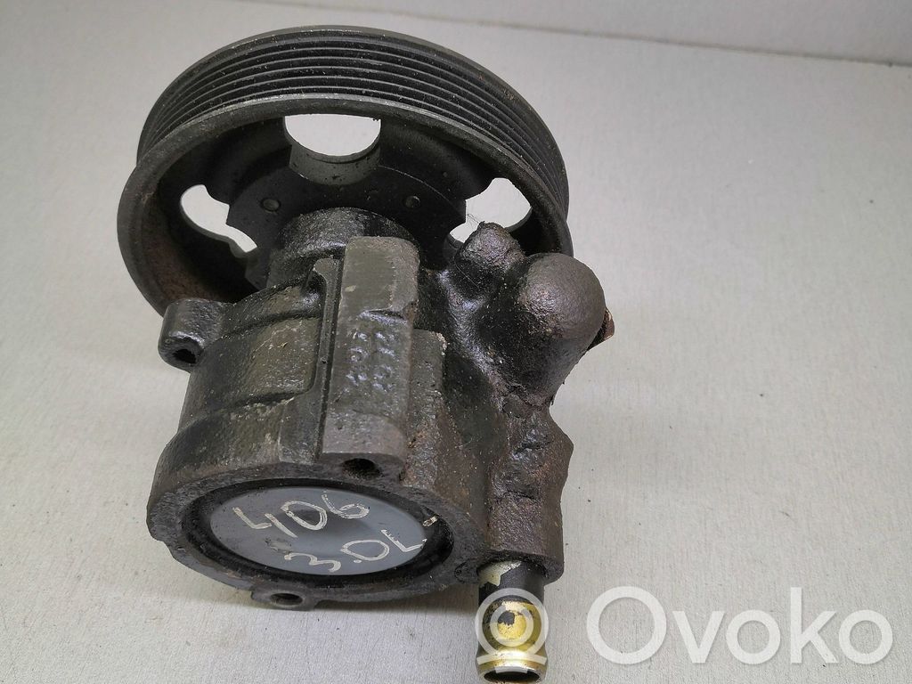 Peugeot 406 Pompa servosterzo 