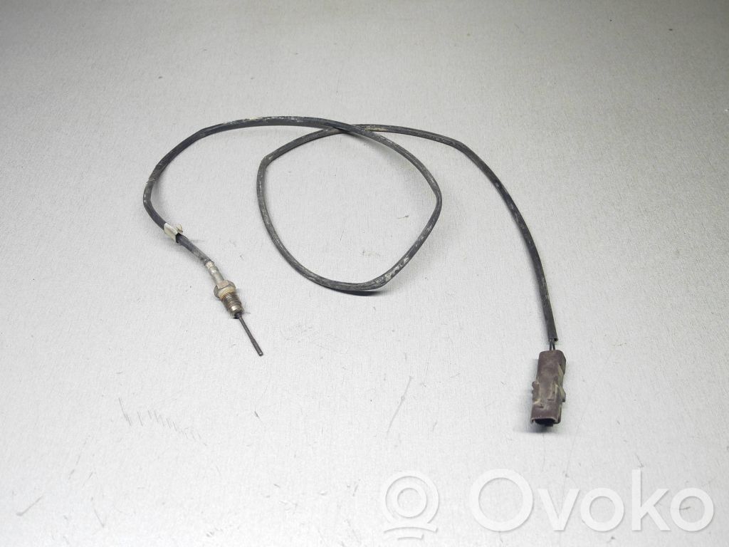 Citroen C5 Pakokaasun lämpötila-anturi 