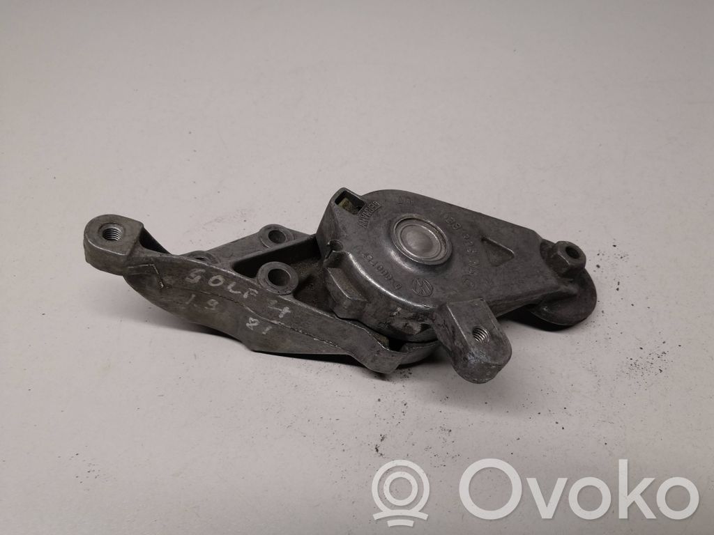 Volkswagen Lupo Generator/alternator belt tensioner 