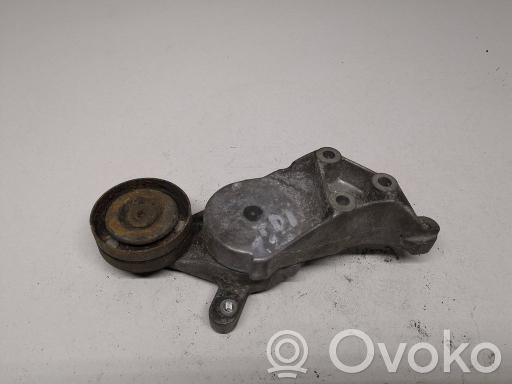 Volkswagen Bora Generator/alternator belt tensioner 