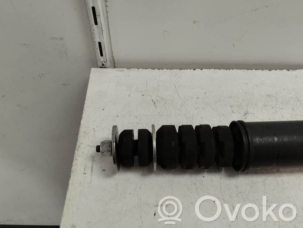Stoßdämpfer hinten