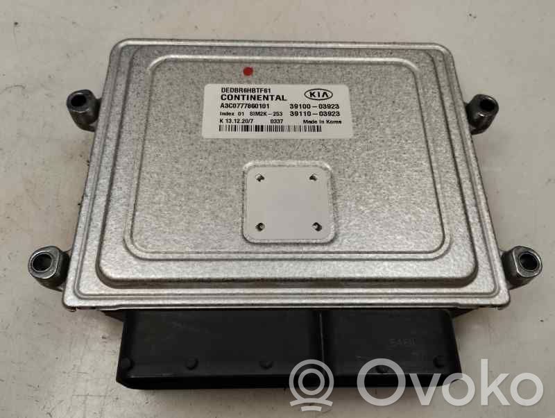 Engine control unit/module   391B103460