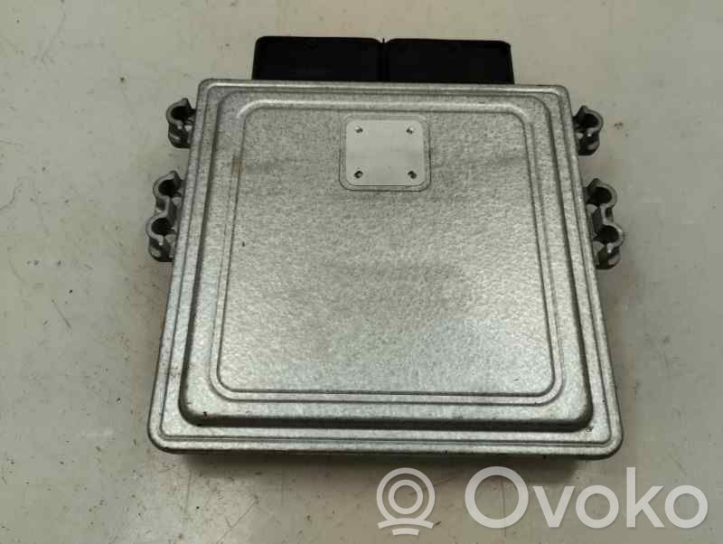 Engine control unit/module   391002U202