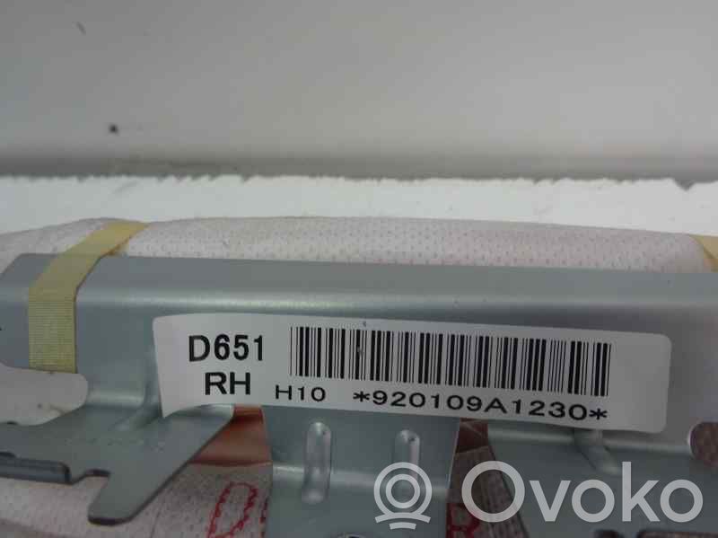 Airbag de toit   D651