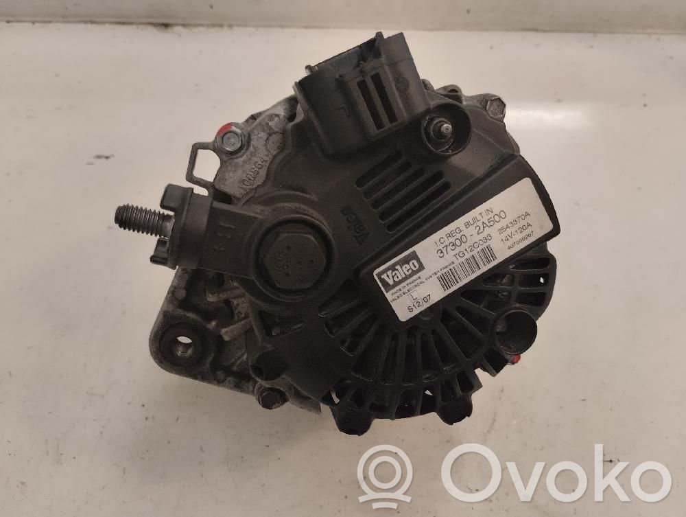Generatore/alternatore   373002A500