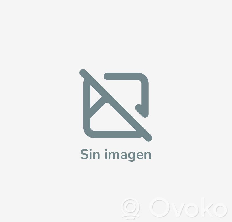 Renault Megane II Modulo fusibile