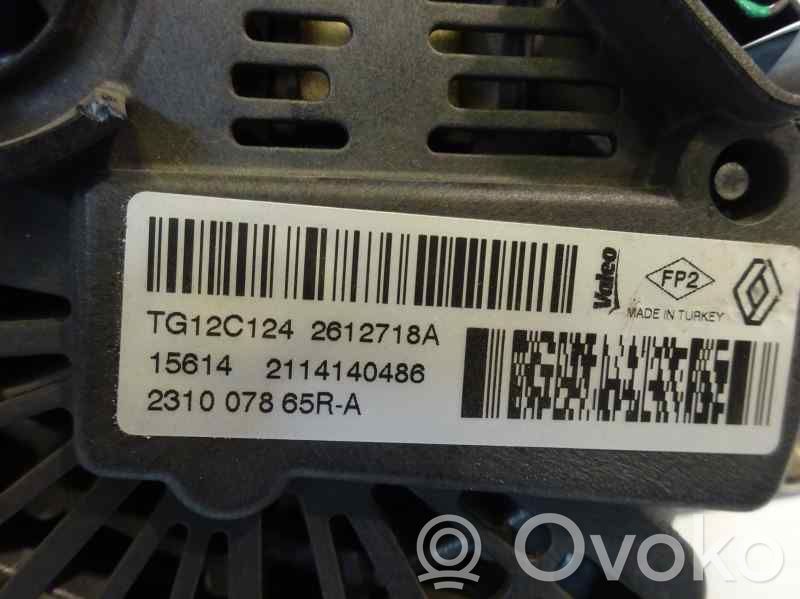 Alternator   231007865RA
