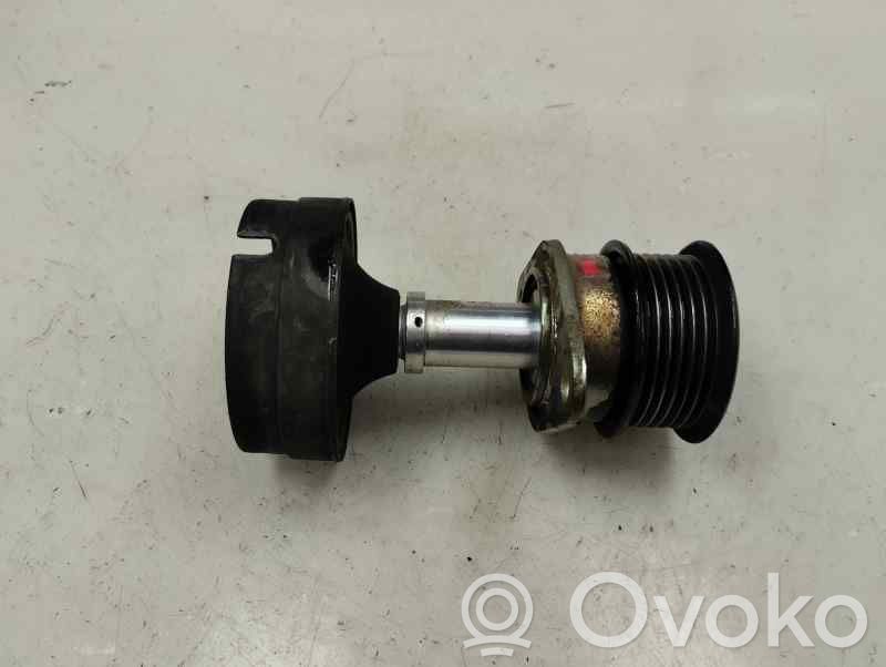 Ford Fiesta Puleggia dell’alternatore