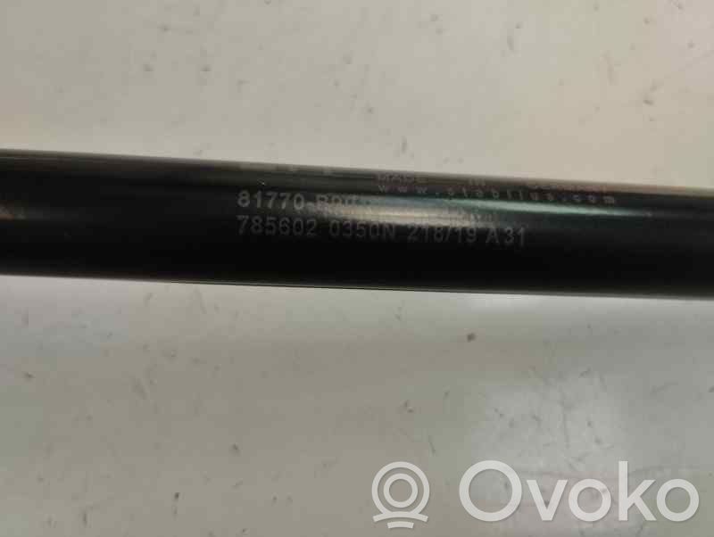 Hyundai i10 Ammortizzatore portellone posteriore/bagagliaio