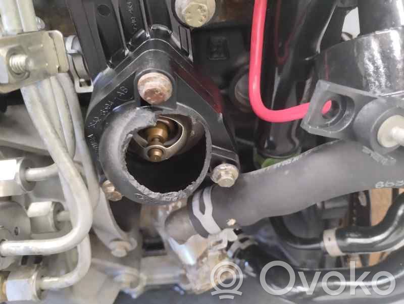 Ford Focus Motor 