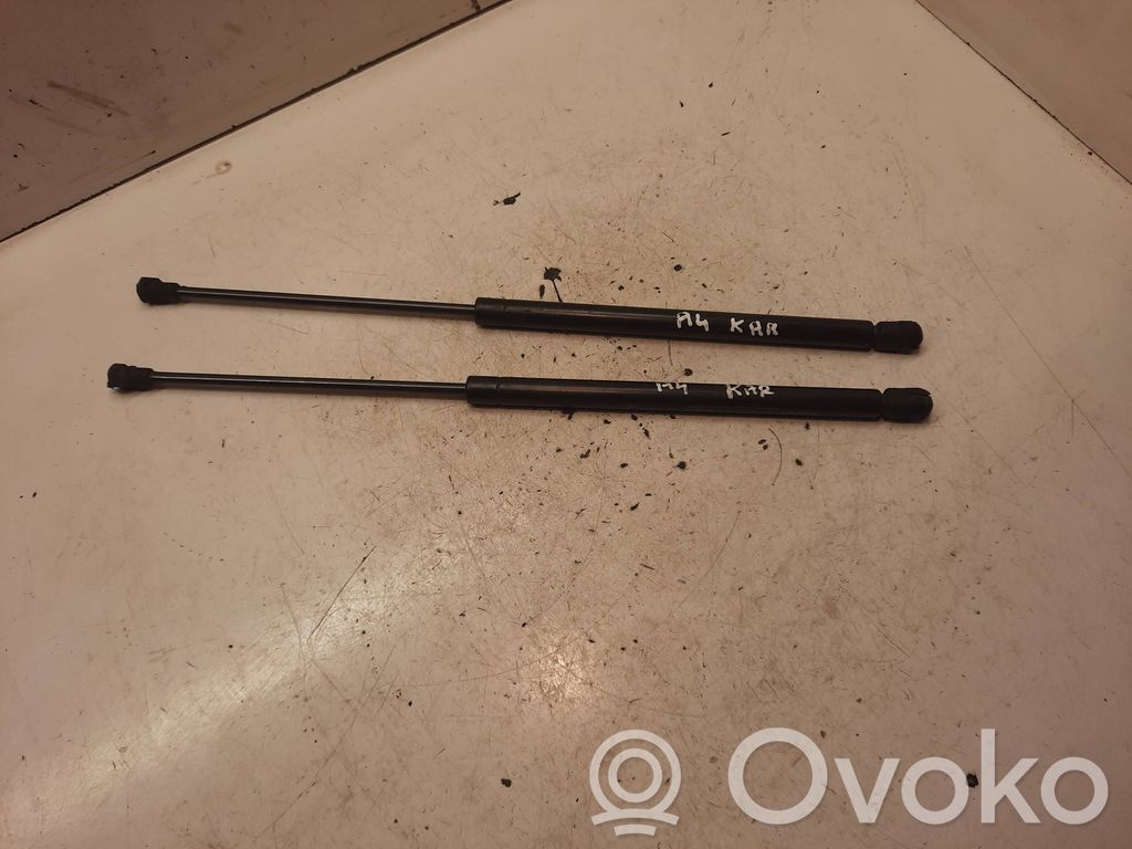 Tailgate/trunk strut/damper
