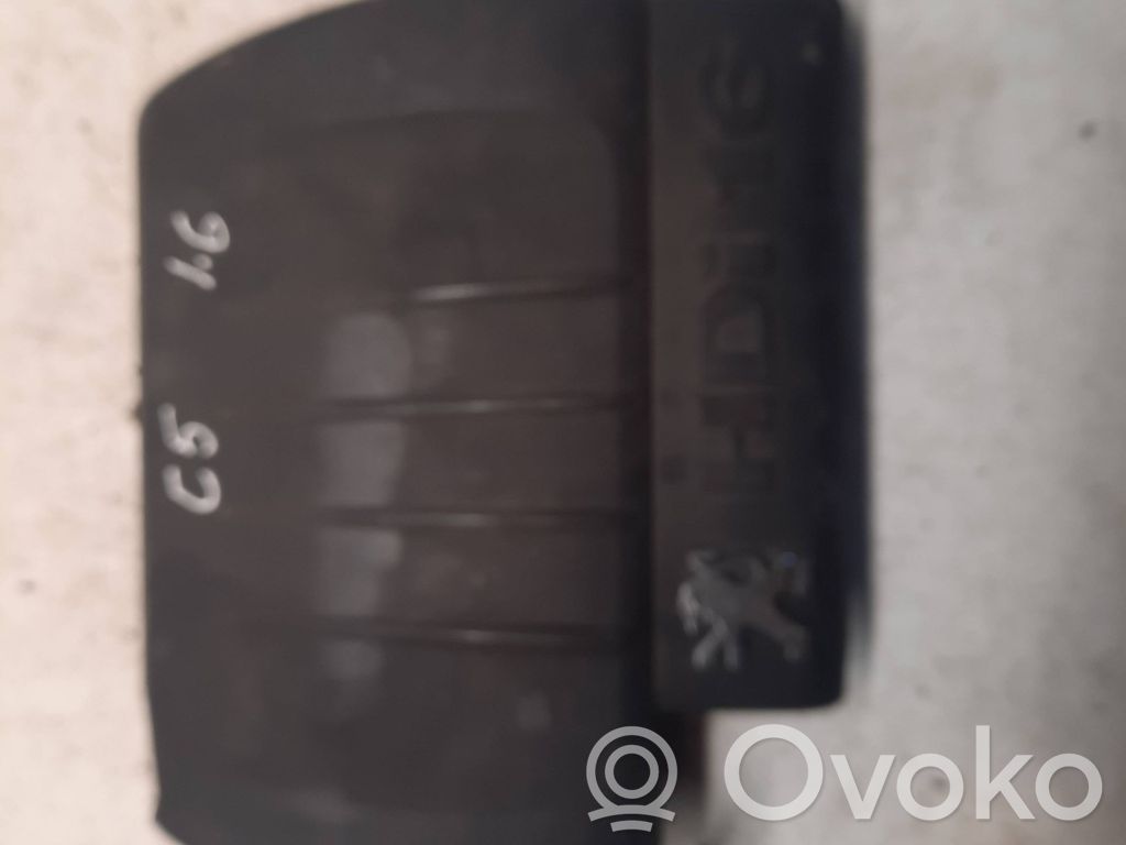 Engine cover (trim)   9653014380