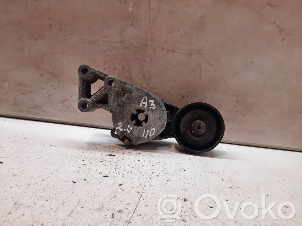 Audi A3 S3 8P Napinacz paska alternatora 