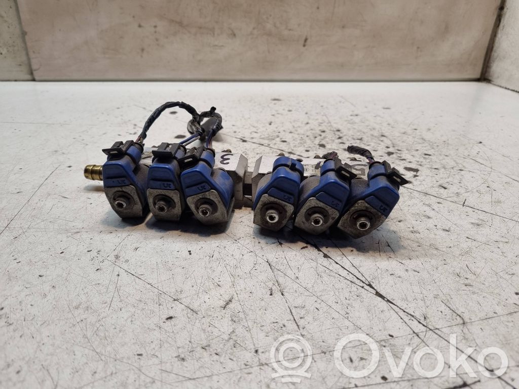 Volvo V70 Inyector de gas GLP 