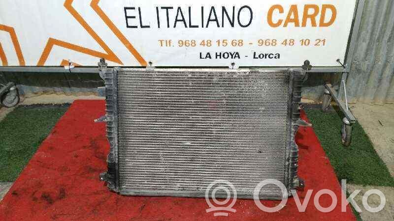 Land Rover Discovery Coolant radiator 