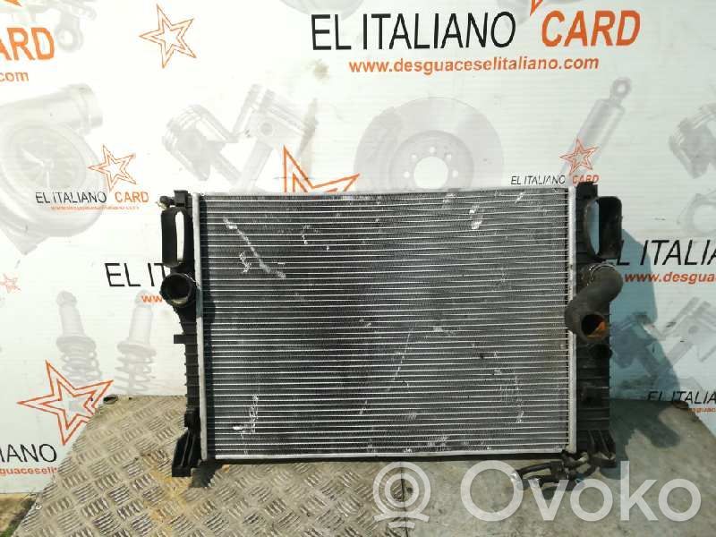 Mercedes-Benz E W210 Radiator lichid răcire 