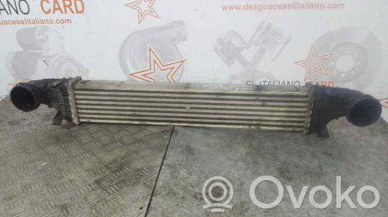 Intercooler radiator