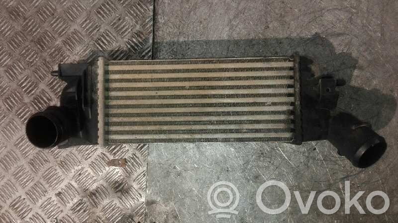 Intercooler radiator