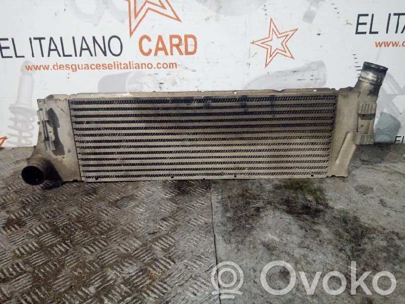 Interkūlerio radiatorius   8200115540,5039