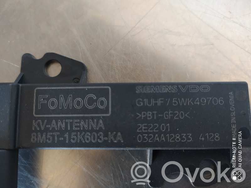 Ford Focus Radion antenni 