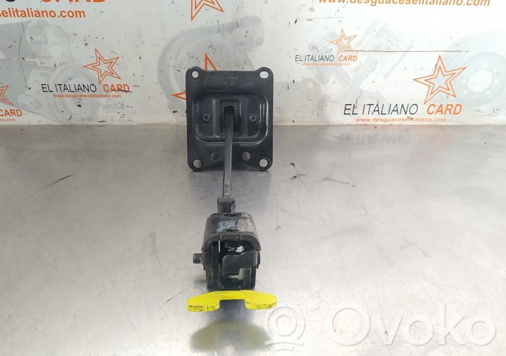 Citroen Berlingo Kita palangės detalė 