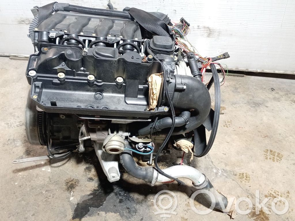 Motor   204D1