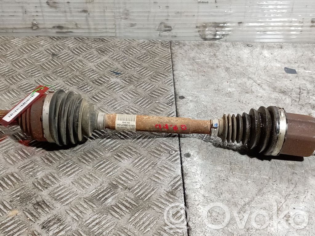 Eje de transmisión delantero   GN153B437GA
