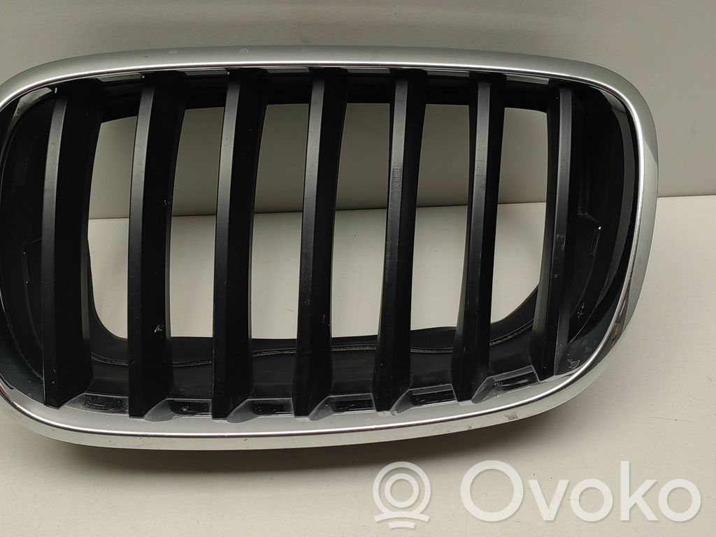 BMW X5 E70 Front grill 