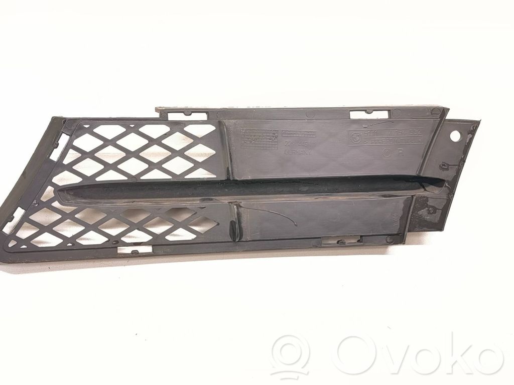 BMW 3 E90 E91 Front bumper lower grill 