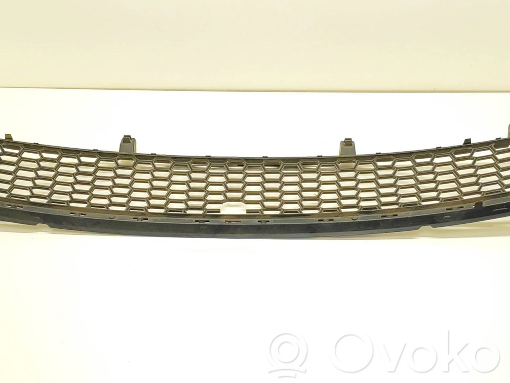 BMW X5 E70 Front bumper lower grill 