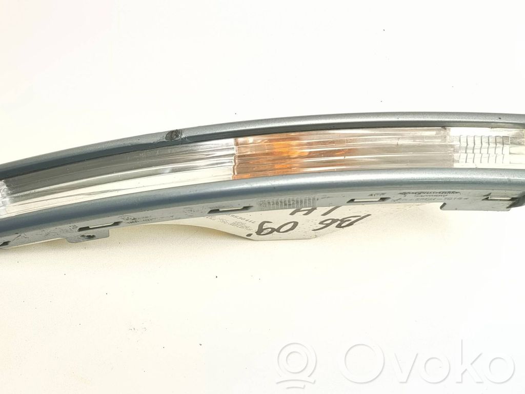 Volkswagen PASSAT B6 Front indicator light 