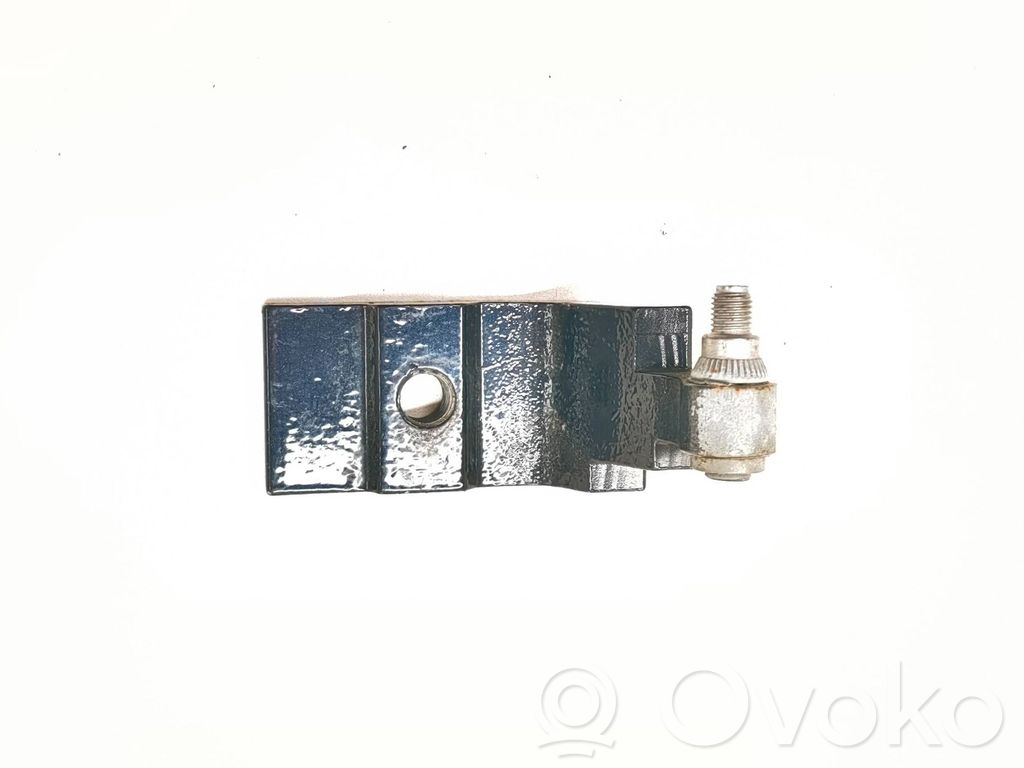 BMW X5 E70 Rear door lower hinge 