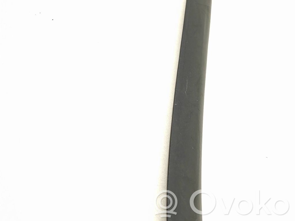 BMW 3 E46 Front door trim (molding) 