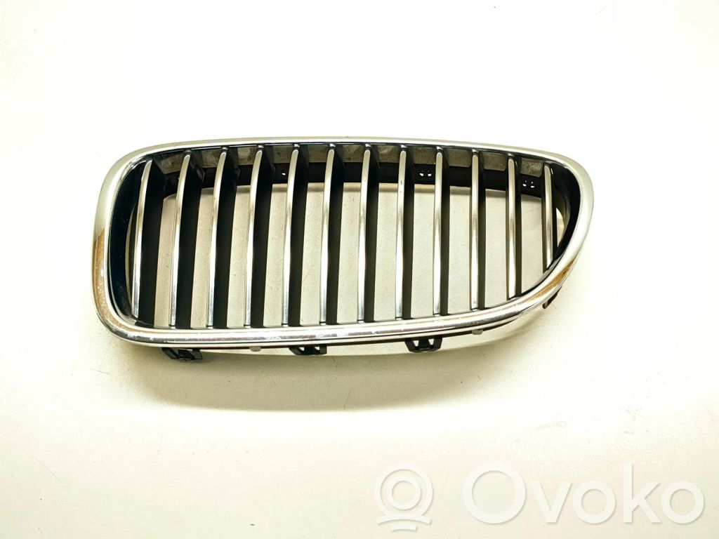 BMW 5 F10 F11 Front grill 