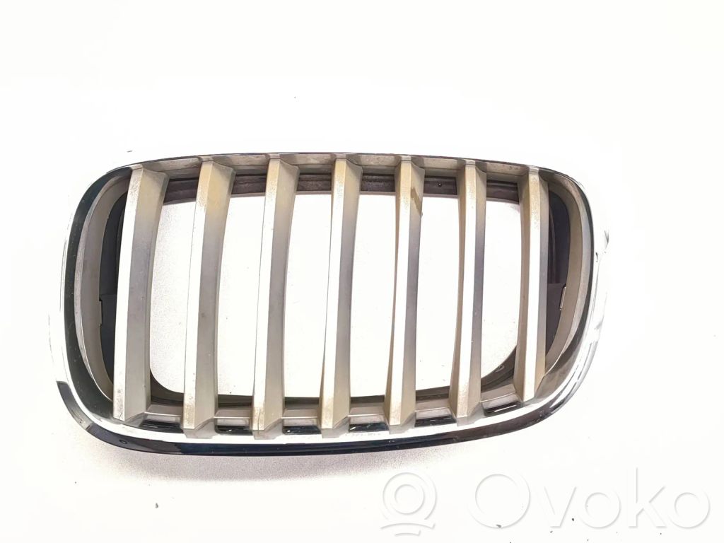 BMW X5 E70 Front grill 